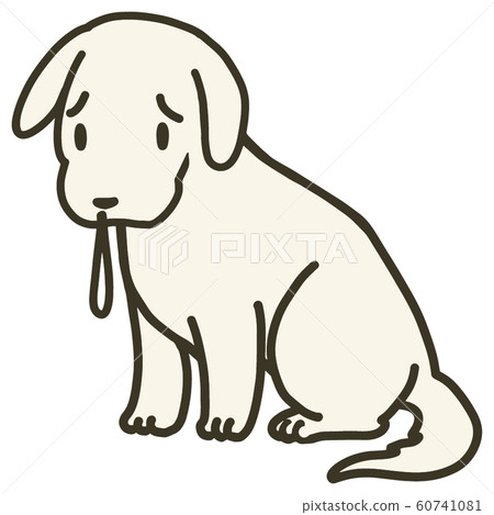 Puppy illustration_cold 60741081