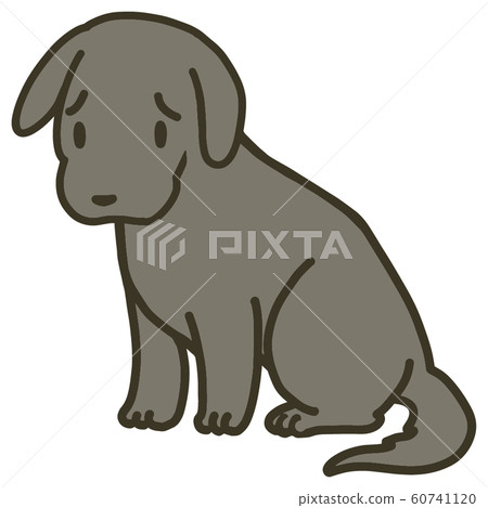 Puppy illustration _ troubled face Puppy illustration _ troubled face 60741120