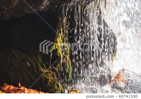 Stones overgrown with green moss near water. Stones overgrown with green moss near water. 60741500