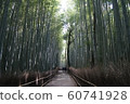 Bamboo Forest Road Side 1 60741928