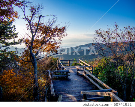 [Izu City, Shizuoka Prefecture] Scenery from the Toda Pass Observatory [Winter] 60741931