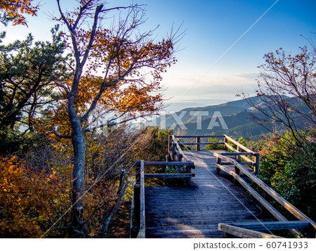[Izu City, Shizuoka Prefecture] Scenery from the Toda Pass Observatory [Winter] 60741933