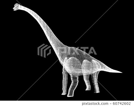 Diplodocus dinosaurs ,3d rendering wire frame - Stock Illustration ...