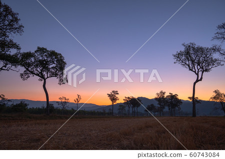 scenery sunrise above mountain 60743084