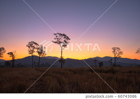 scenery sunrise above mountain 60743086