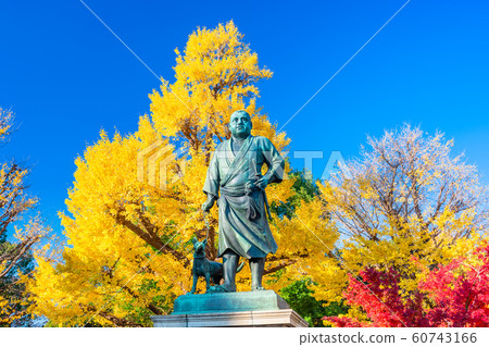 Tokyo Ueno Park Autumn leaves and Takamori Saigo statue Tokyo Ueno Park Autumn leaves and Takamori Saigo statue 60743166