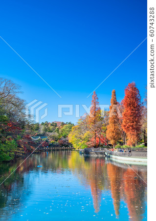 東京Inokashira公園秋葉 東京Inokashira公園秋葉 60743288