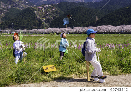 (Shizuoka prefecture) Matsuzaki-cho, a flower field using rice fields @ Scarecrow (Shizuoka prefecture) Matsuzaki-cho, a flower field using rice fields @ Scarecrow 60743342