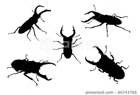 動物剪影昆蟲鹿 60743768