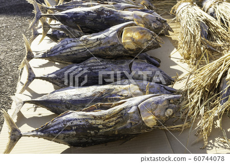 （靜岡）西伊豆傳統魚（bon魚新年裝飾） 60744078