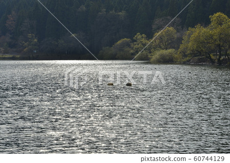 [滋賀縣長濱市]初冬的五穀湖 60744129