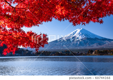 "Yamanashi Prefecture" Japan's Autumn / Mt. Fuji and autumn leaves "Yamanashi Prefecture" Japan's Autumn / Mt. Fuji and autumn leaves 60744168