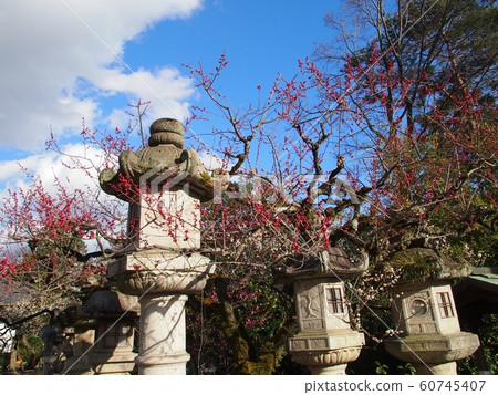 Scenery of Kyoto (Kitano Tenmangu Shrine) Scenery of Kyoto (Kitano Tenmangu Shrine) 60745407