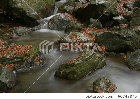 Tokushima Yamashiro Town Autumn Valley of Handaiwa River 60745879