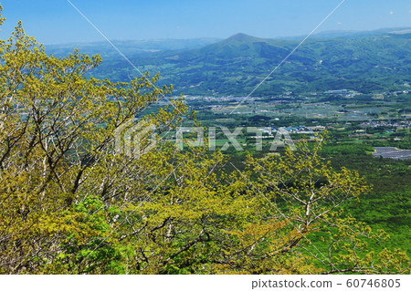 從岩手山山路的春天景色 60746805