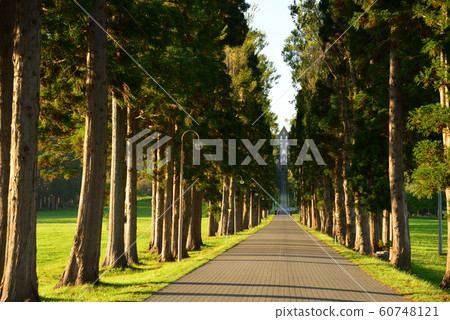 Tree-lined path of Trappist Monastery 60748121