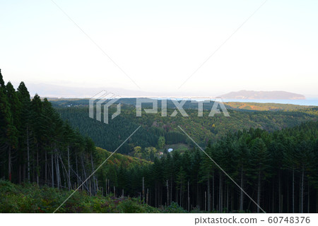 盧爾德洞穴的特拉普修道院視圖 60748376