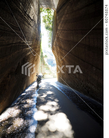 A tunnel through Daisaki Osaka A tunnel through Daisaki Osaka 60748874