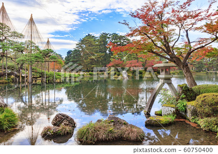 Kenrokuen Autumn leaves Kenrokuen Autumn leaves 60750400