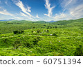 Akiyoshidai National Monument 60751394