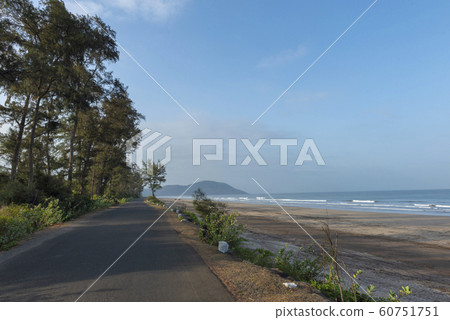 Velas Beach known for Oliver Ridley Turtles, Raigad, Maharashtra, India Velas Beach known for Oliver Ridley Turtles, Raigad, Maharashtra, India 60751751