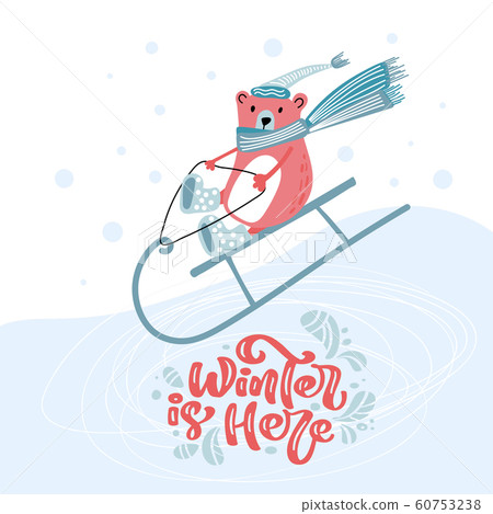 Vector Cute bear in hat and scarf on a sled. Vintage calligraphy handwritten text Winter is Here. Banner, greeting Card, scandinavian doodle illustration 60753238