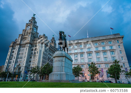 Evening view of the Liver and Cunard buildings Evening view of the Liver and Cunard buildings 60753586