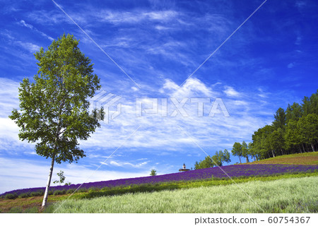 北海道富良野町A香村 60754367