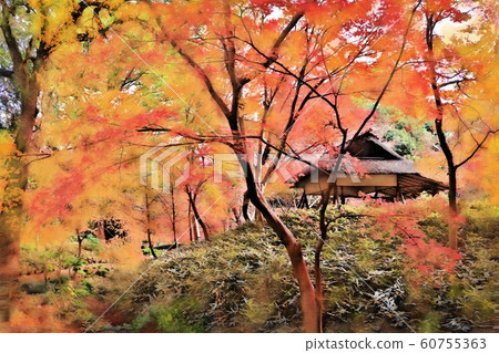 Autumn leaves of Rikugien. Late Autumn (December) Bunkyo-ku, Tokyo 60755363