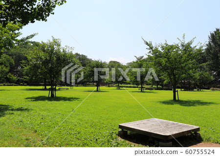  公園 60755524