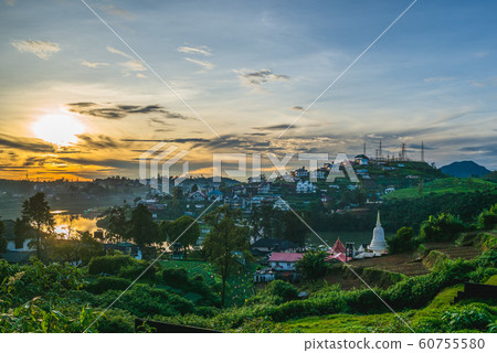 scenery of Nuwara Eliya with tea garden, sri lanka 60755580