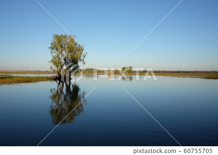 Kakadu National Park 60755705