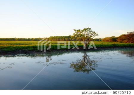 Kakadu National Park 60755710
