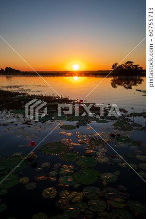 Kakadu National Park 60755713