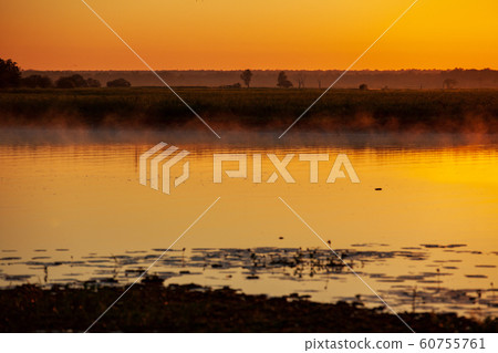 卡卡杜國家公園 60755761