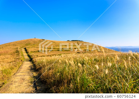 Kawauchi Pass的秋天風景和秋葉[長崎縣平戶市] 60756124