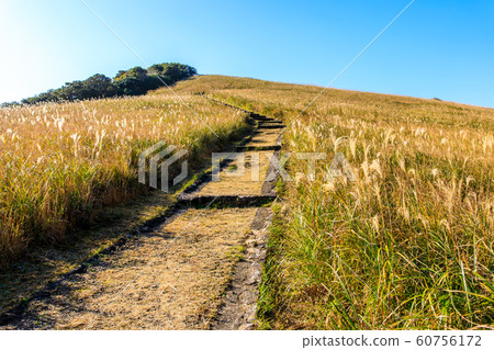 Autumn scenery and autumn leaves of Kawauchi Pass [Hirado City, Nagasaki Prefecture] 60756172