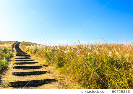 Autumn scenery and autumn leaves of Kawauchi Pass [Hirado City, Nagasaki Prefecture] 60756228