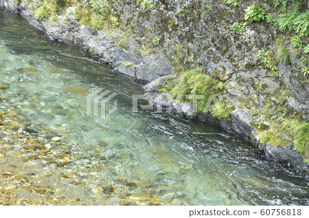 清溪山stream 清溪山stream 60756818