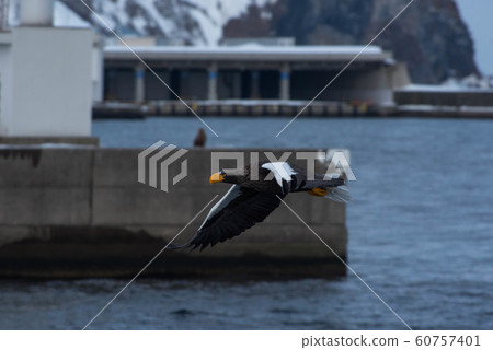 Shiretoko winter Shiretoko winter 60757401