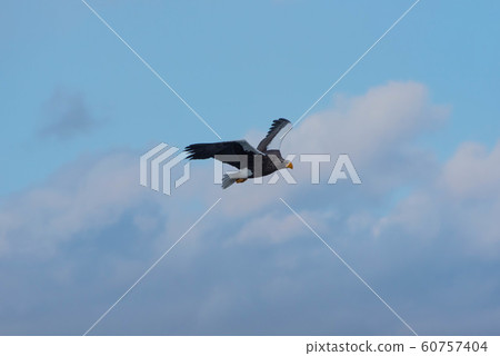 知床冬天 60757404