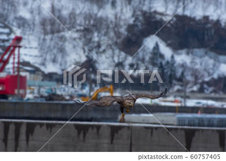 Shiretoko winter 60757405