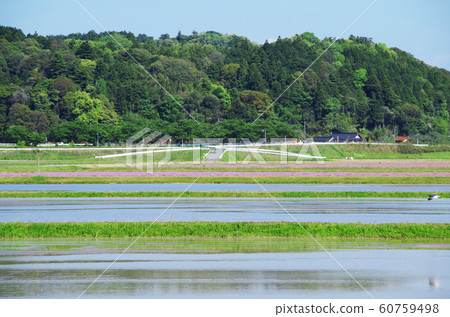 水稻種植前的鄉村風光...島根縣安來市，天氣：晴天 60759498