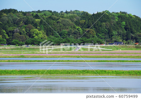 Rural scenery before rice planting ... Yasugi, Shimane Weather: Sunny Rural scenery before rice planting ... Yasugi, Shimane Weather: Sunny 60759499