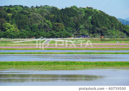 水稻種植前的鄉村風光...島根縣安來市，天氣：晴天 60759500