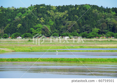 Rural scenery before rice planting ... Yasugi, Shimane Weather: Sunny 60759501
