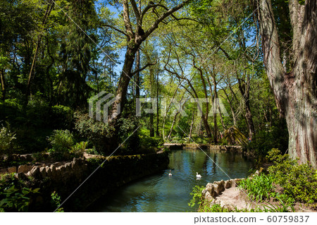 Gardens of Pena Park at the municipality of Sintra Gardens of Pena Park at the municipality of Sintra 60759837