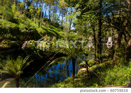Gardens of Pena Park at the municipality of Sintra 60759838