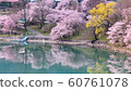 Sakura of Takato Dam 60761078