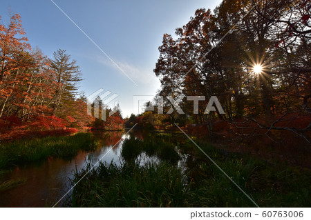 Kumonba Pond Kumonba Pond 60763006